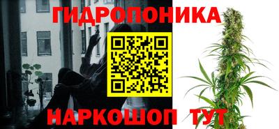 метадон Новозыбков