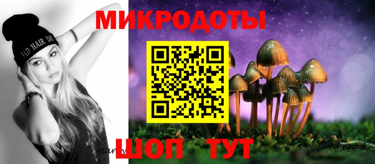 Галлюциногенные грибы мухоморы  Вход с VPN  Рузаевка 