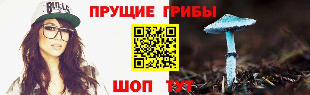 Галлюциногенные грибы Cubensis Рузаевка
